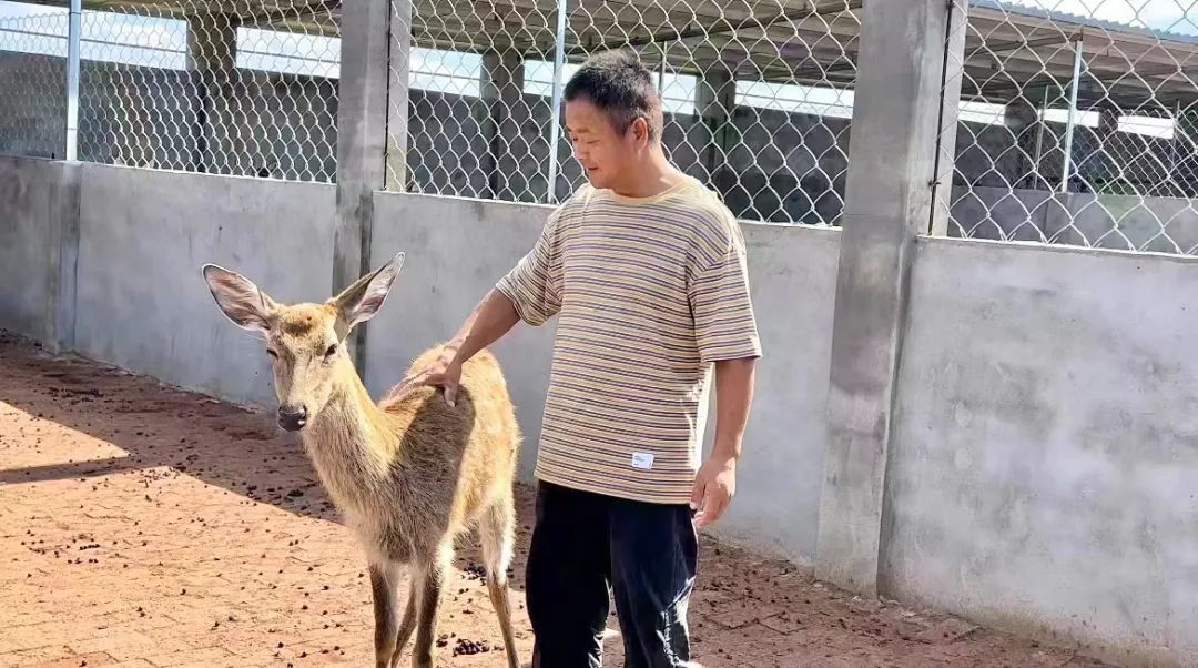 威尼斯登录地址